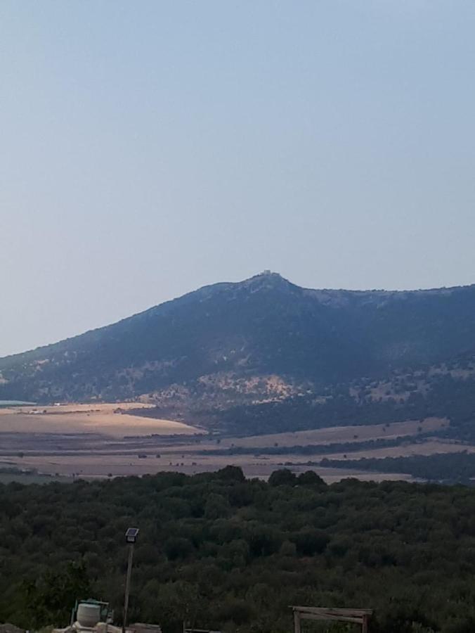 B&B Porta Del Gargano San Marco in Lamis Zewnętrze zdjęcie