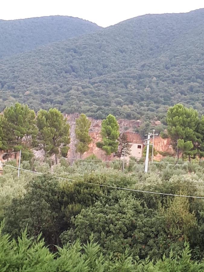 B&B Porta Del Gargano San Marco in Lamis Zewnętrze zdjęcie