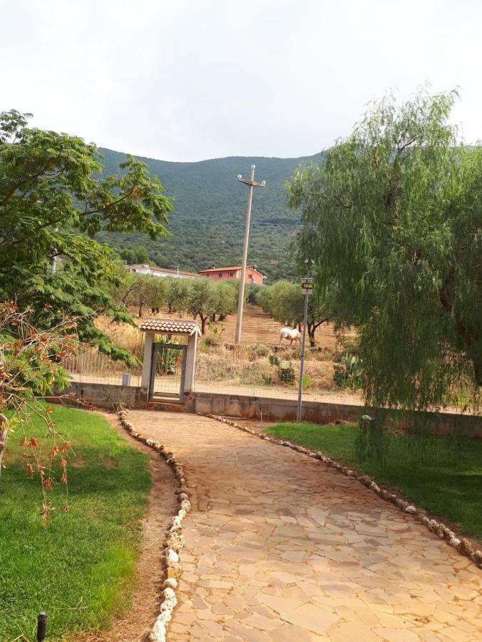 B&B Porta Del Gargano San Marco in Lamis Zewnętrze zdjęcie